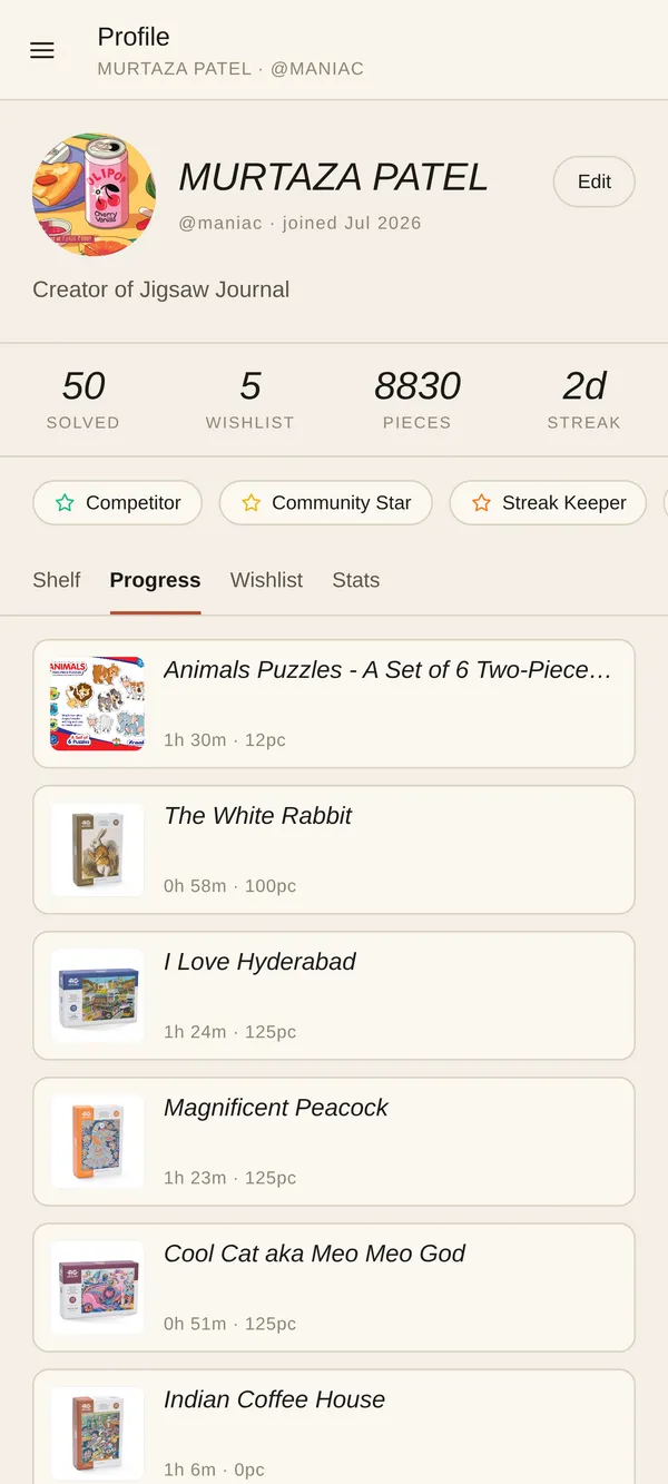 A profile tracking progress across puzzles in flight